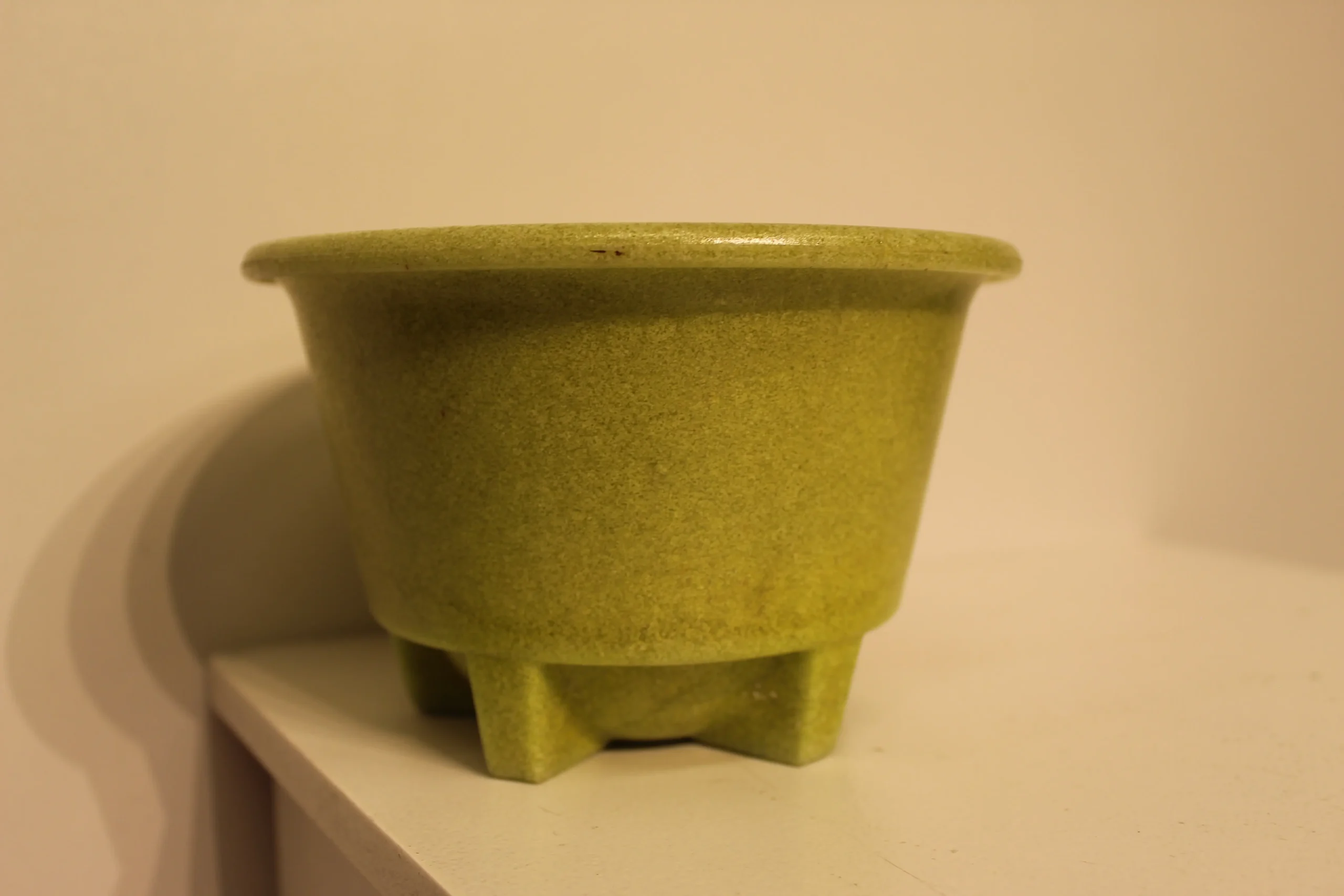 Cactus pot A.D Copier Walu