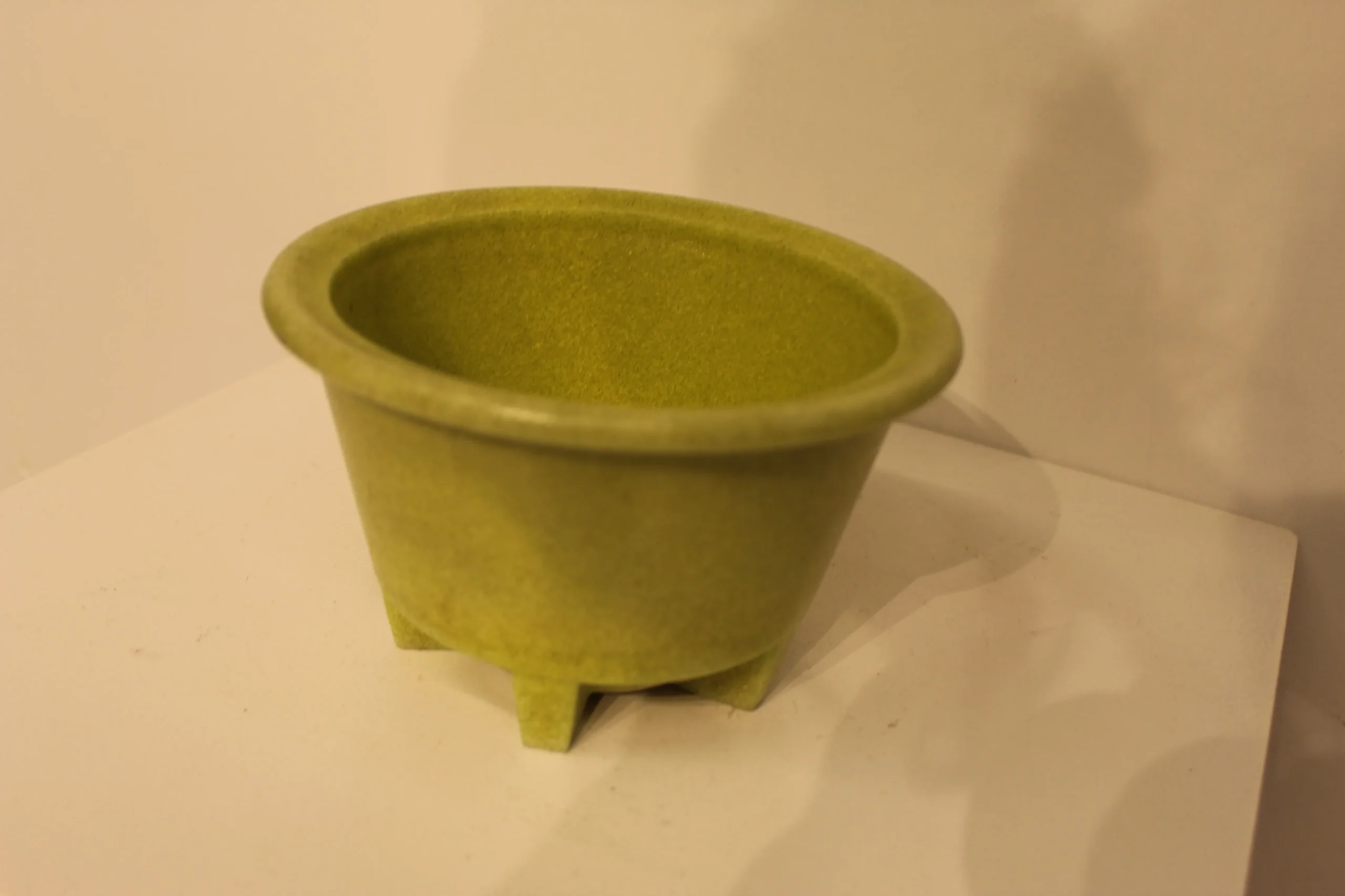 Cactus pot A.D Copier Walu met schotel