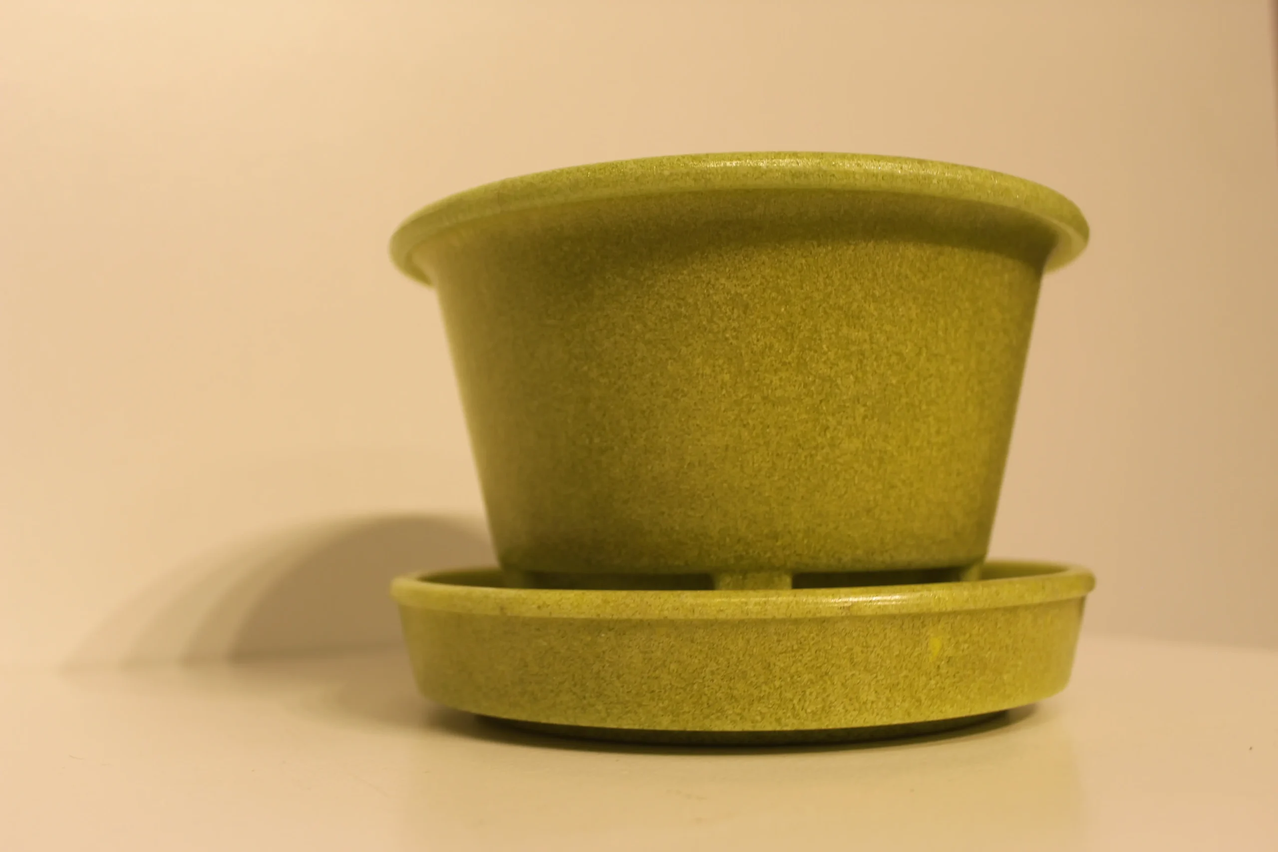 Cactus pot A.D Copier Walu met schotel