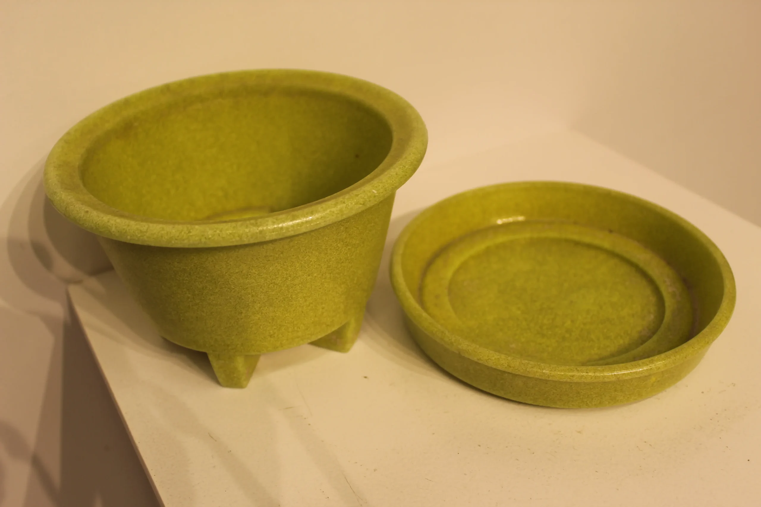 Cactus pot A.D Copier Walu met schotel