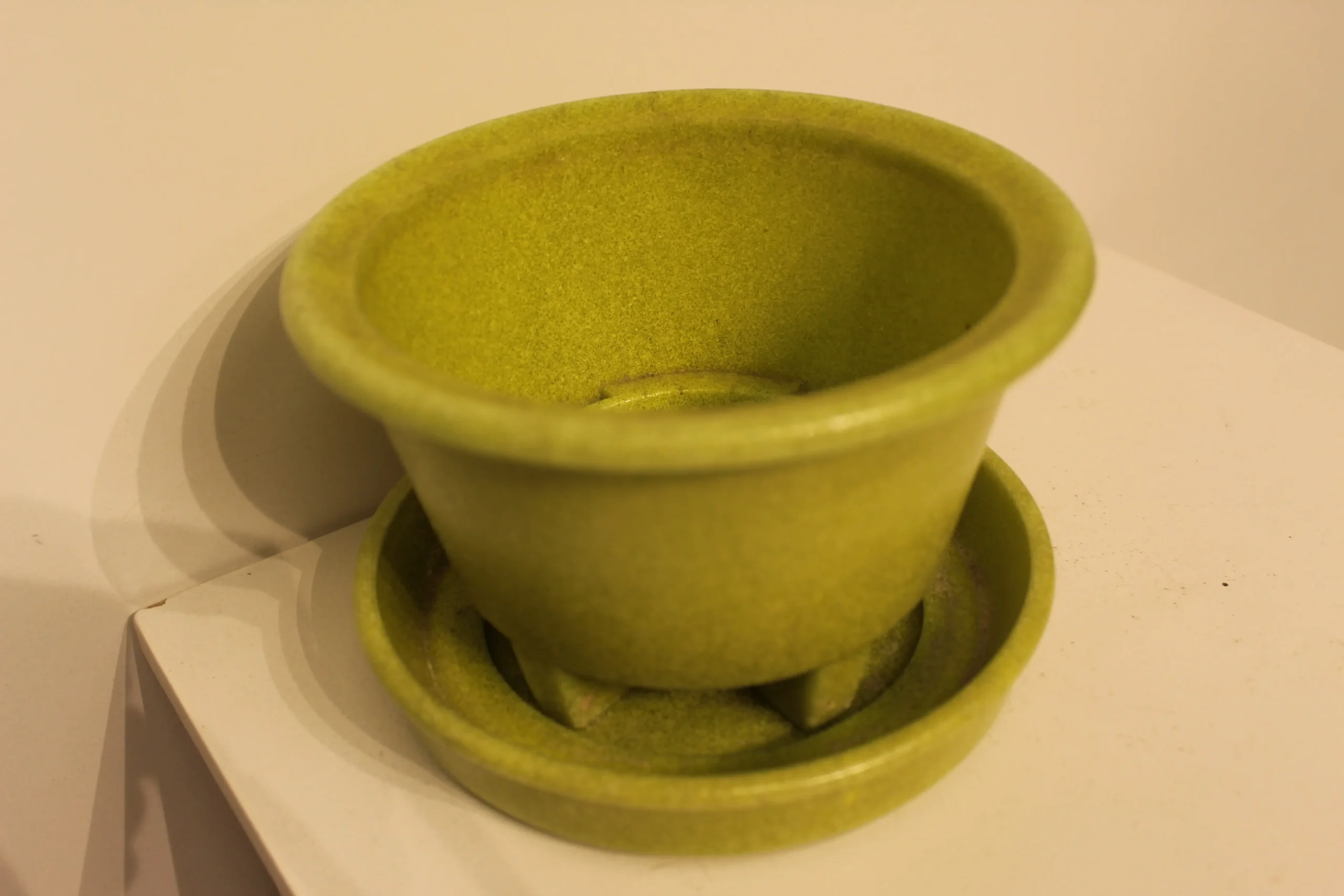 Cactus pot A.D Copier Walu met schotel