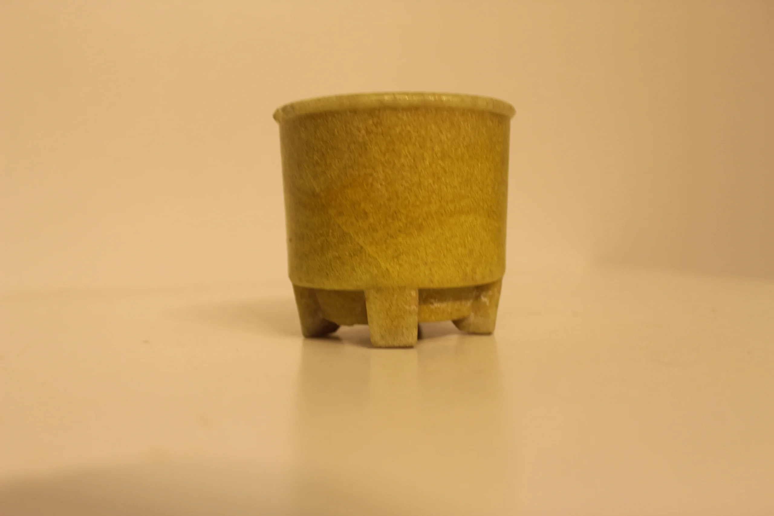 Cactus potje A.D Copier rond