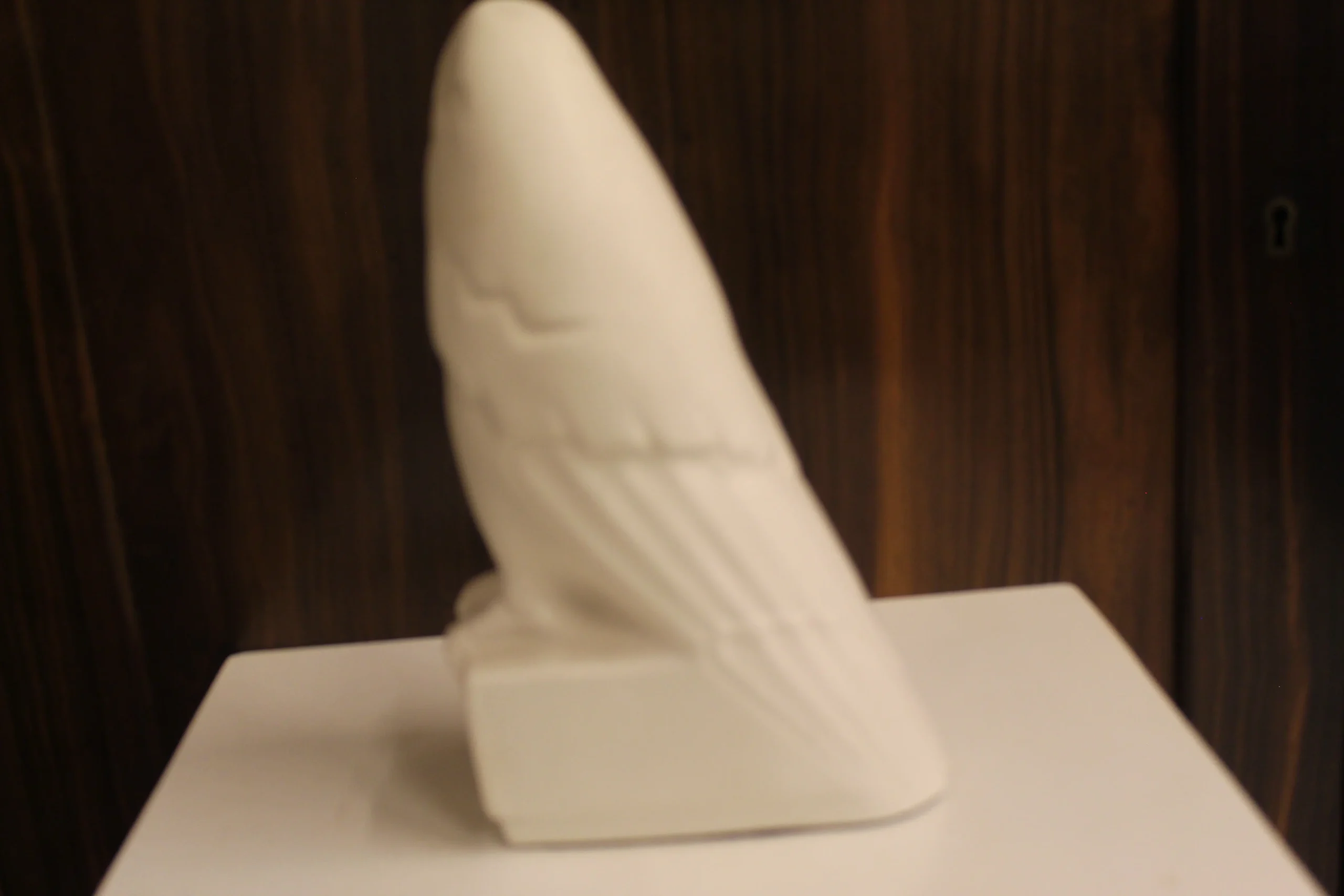 Kaketoe ontwerp Leen Muller Zuidholland plateel